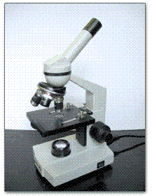 Student Microscope BP20/400